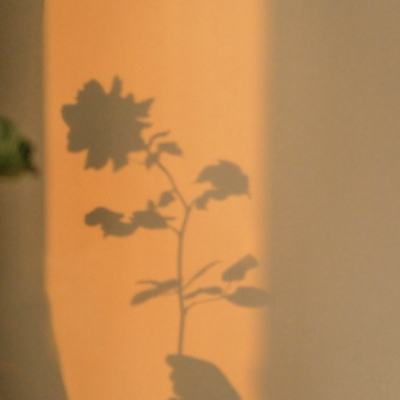 梦幻传奇公益服下载