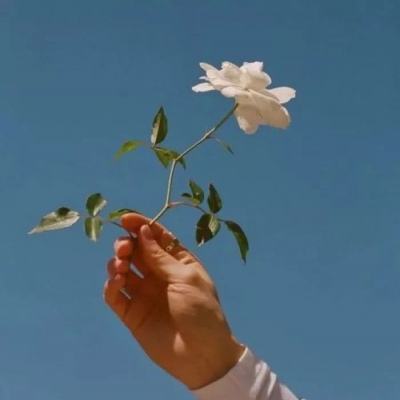 精灵总动员百度版下载