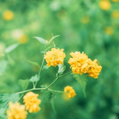 英雄世纪无限元宝公益服下载